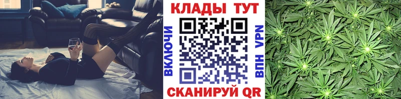 Виды наркотиков купить Менделеевск A PVP  Меф  ГАШИШ 