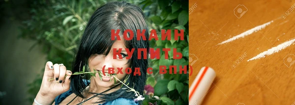 Альфа ПВП Инта