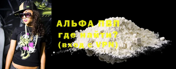 индика Калининец
