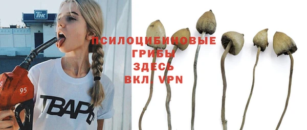 Альфа ПВП Инта
