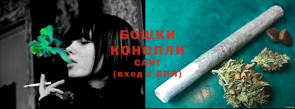 стаф Заводоуковск