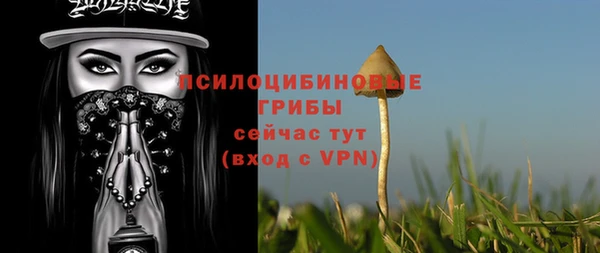 стаф Заводоуковск