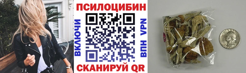 Псилоцибиновые грибы Psilocybine cubensis Менделеевск